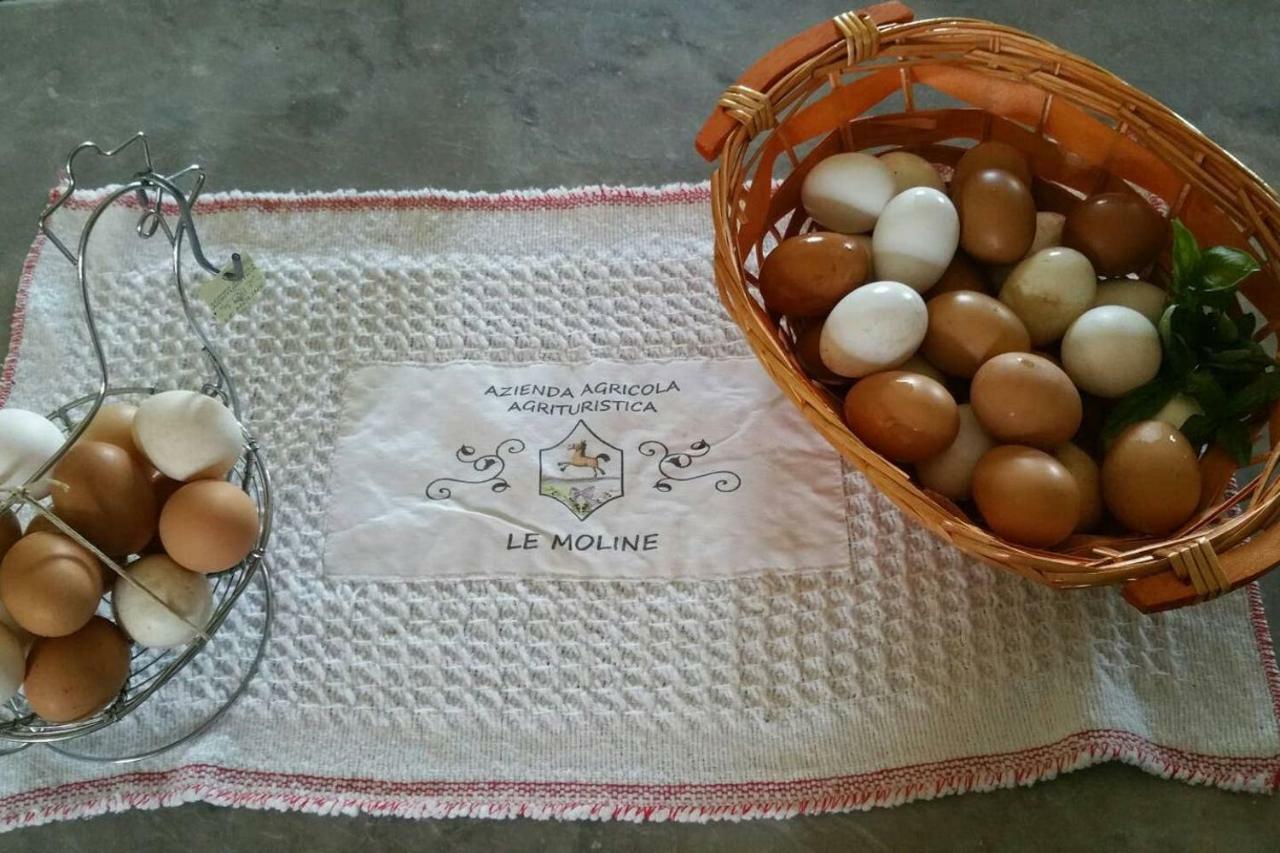 וטראלה Piccolo Casale A "Le Moline" In Una Vera Fattoria מראה חיצוני תמונה